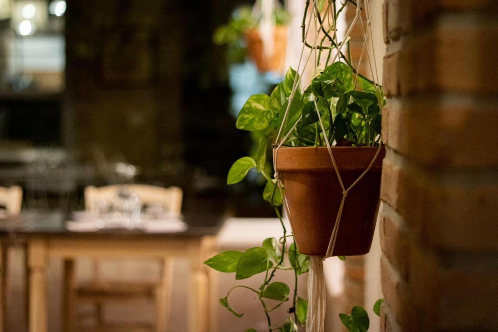 Agricola Casa Cucina Bottega Villa Cesena Dış mekan fotoğraf