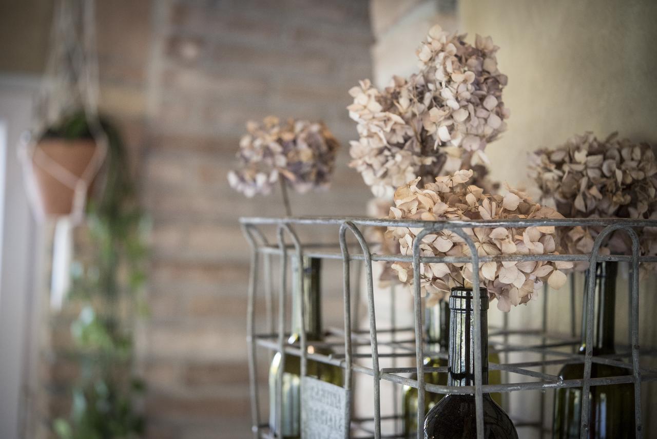 Agricola Casa Cucina Bottega Villa Cesena Dış mekan fotoğraf